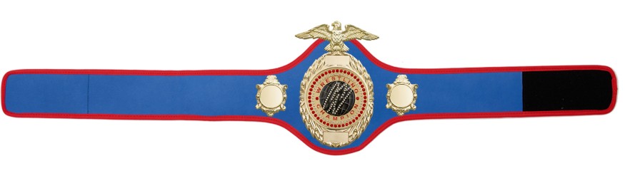 PRO288/G/WRESTGEMG - AVAILABLE IN 10 COLOURS PRO288/G/WRESTGEMG - AVAILABLE IN 10 COLOURS